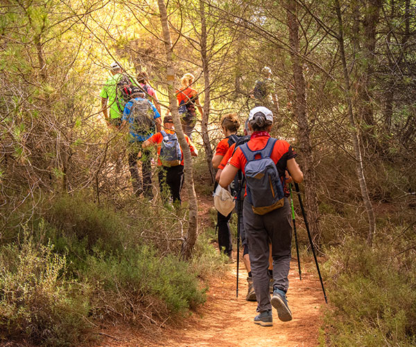 Group Tours