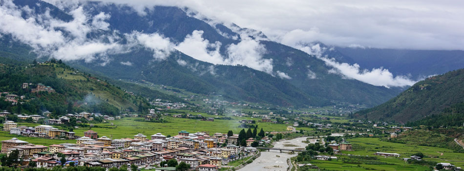 Specially Curated Packages For You 