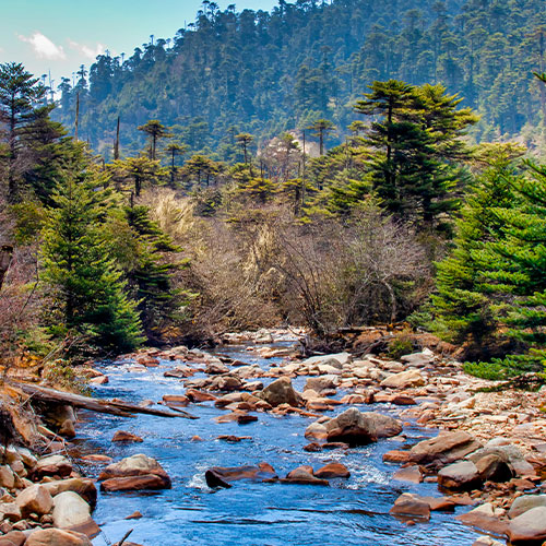 Jigme Dorji National Park